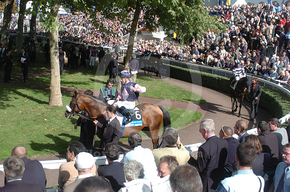 longchamps_paddock02_hr