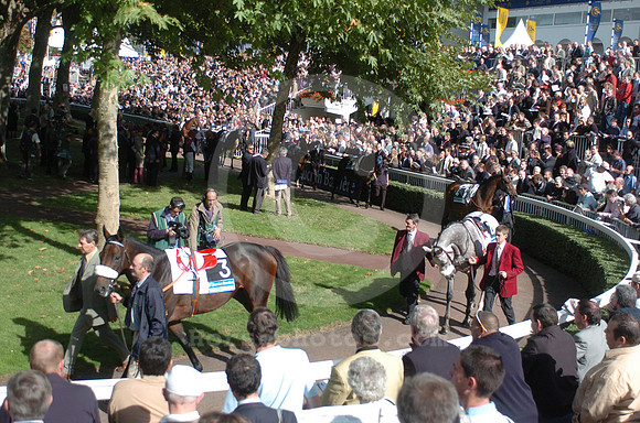 longchamp_paddock06_hr