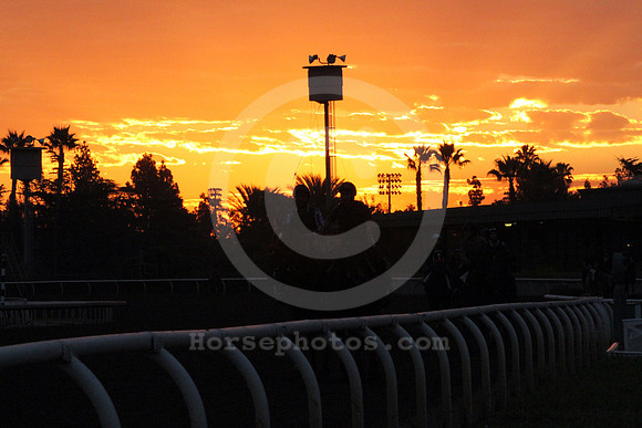 santaanitamorning27_cg