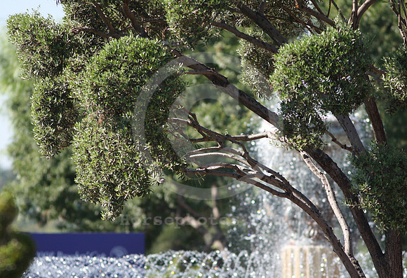 santaanitapark46_ev
