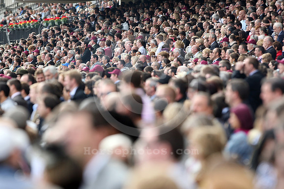 longchamp_fans01_fs