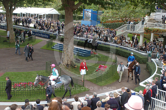 longchamp_paddock02_hr