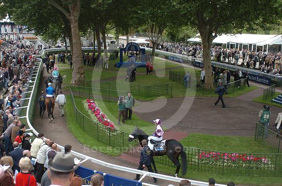 longchamp_paddock01_hr