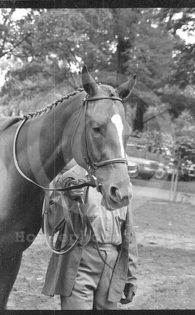 affirmed11