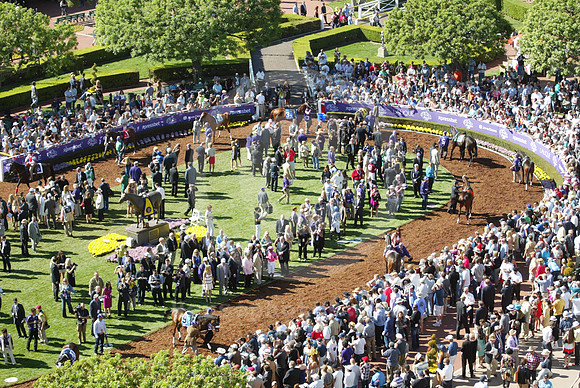 bc13_paddock02_cg