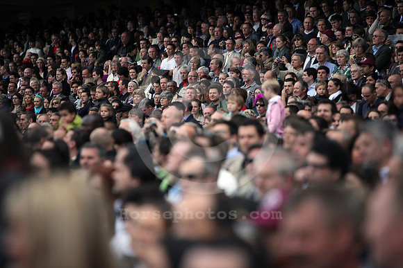 longchamp_fans02_fs