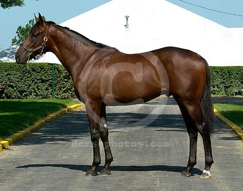 kee00hip37