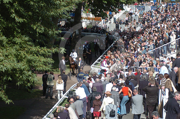 longchamps_paddock01_hr