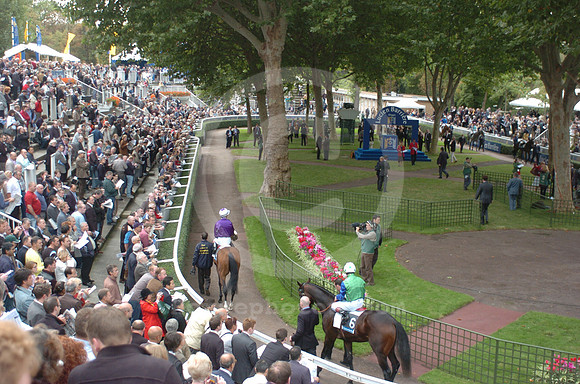 longchamp_paddock04_hr
