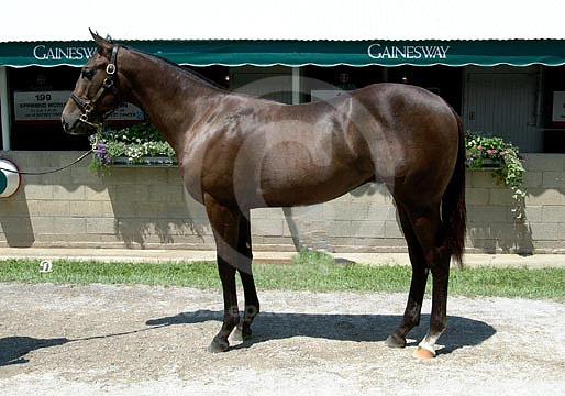 kee00hip8-2