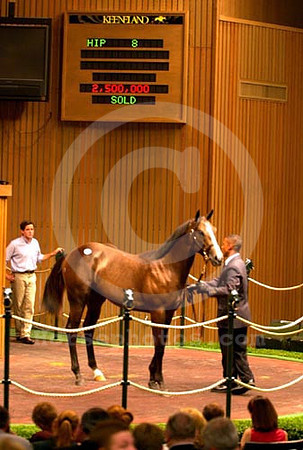 kee00hip8