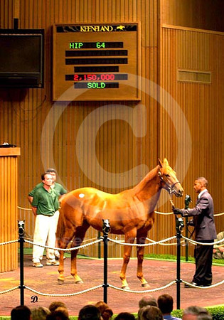 kee00hip64-01