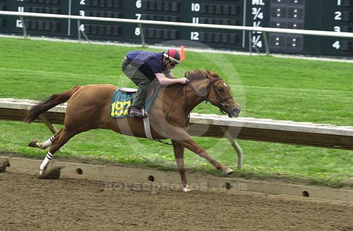 kee01hip197jd