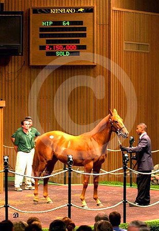 kee00hip64