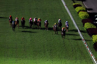 kranji10_tm