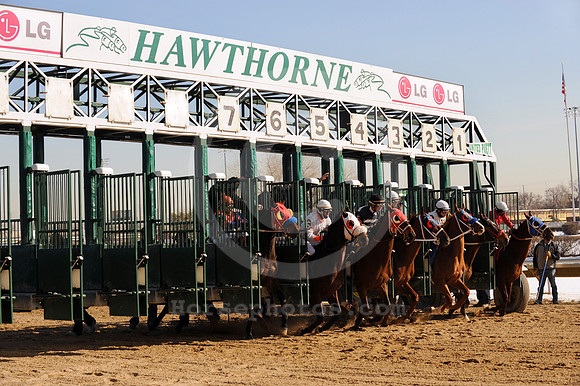 hawthornepark04_jn