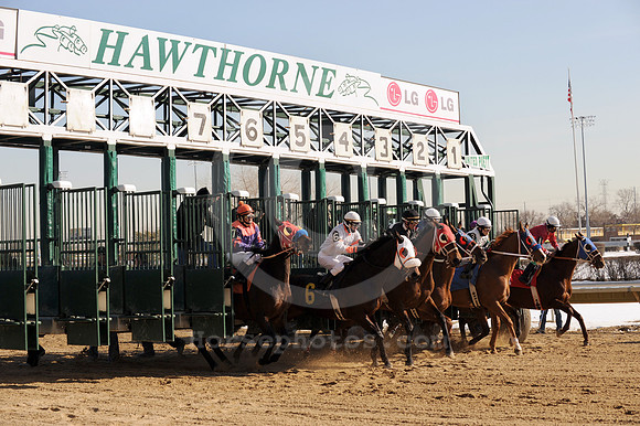 hawthornepark05_jn