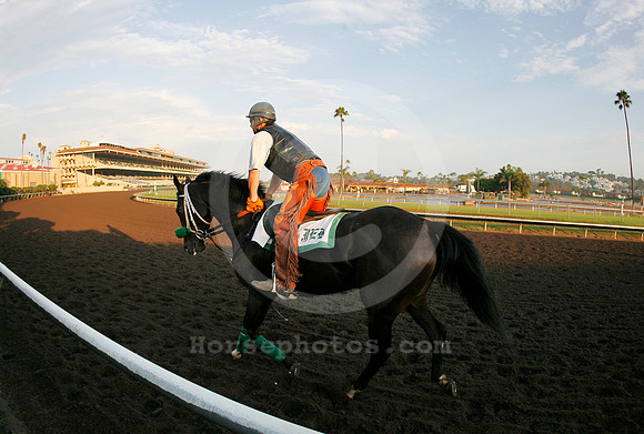delmar04_mjm
