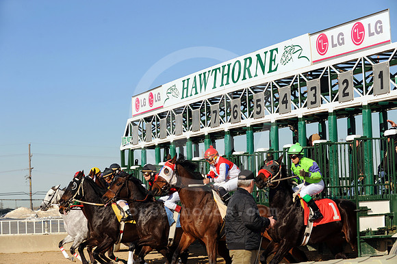 hawthornepark06_jn