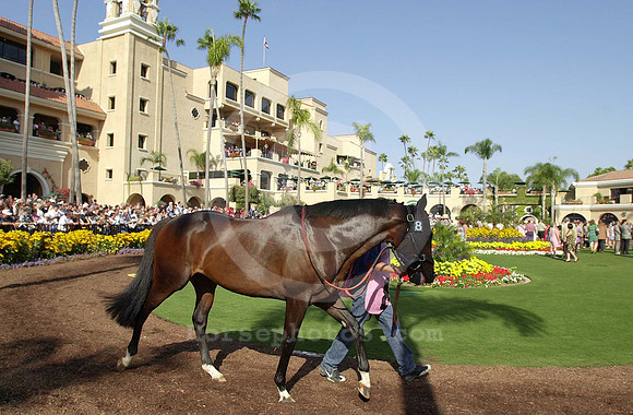 delmar06_mjm