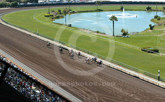delmar07_mjm