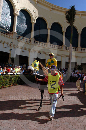 gulfstream_newpaddock07_hr
