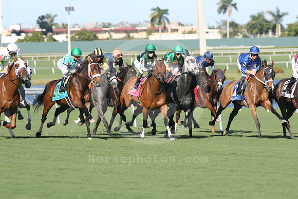 openingdayturfatgulfstream01_gg