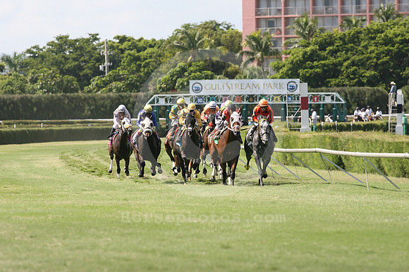 gulfstreamparkwest03_gg