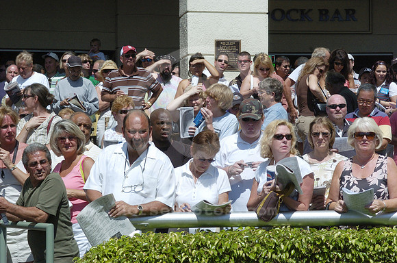 gulfstreampark_paddock10_hr