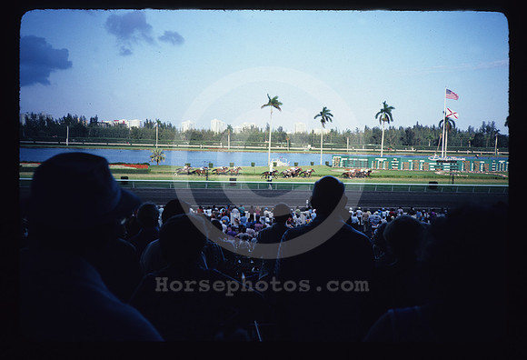 gulfstreampark72_hr