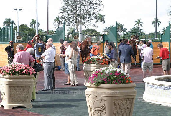 gulfstream_open02_eg