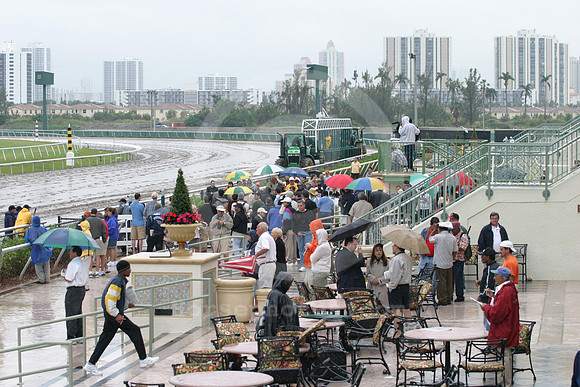 gulfstreampark_rain04_eg