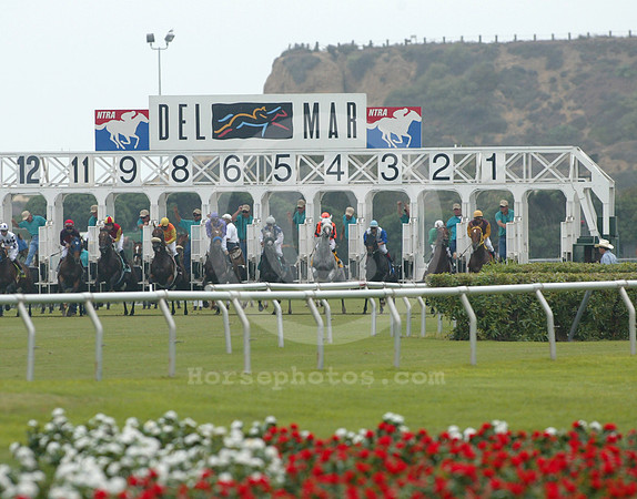 delmar13_mjm