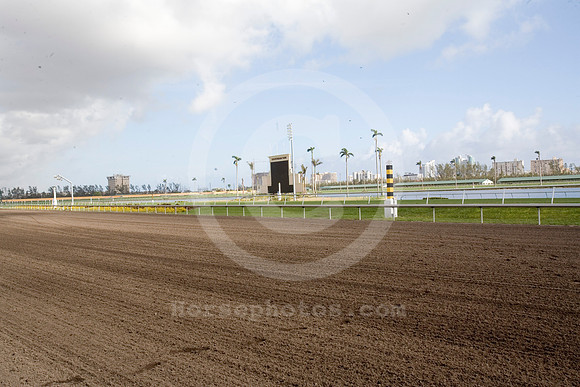 Gulfstream Park 12-05 13_jb