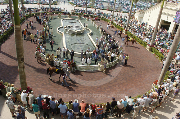 gulfstreampark_walkingring03_hr