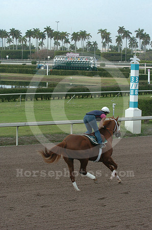 gulfstream03_jd