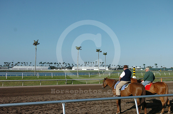 gulfstreampark13_jd