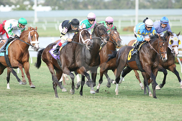 gulfstream2013turfracing01_gg