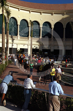 gulfstream_newpaddock06_hr