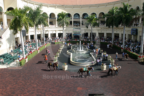gulfstreampark_paddock_2011_01_gg