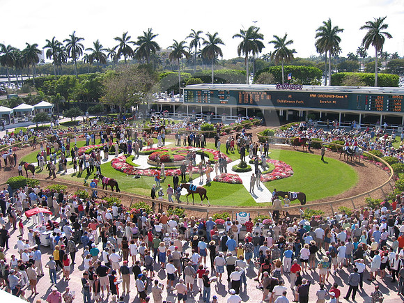 gulfstreampark_paddock20_hr