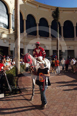 gulfstream_newpaddock09_hr