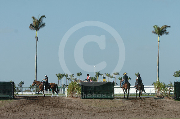 gulfstreampark20_jd