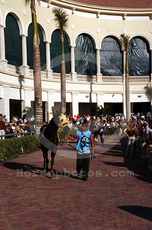 gulfstream_newpaddock10_hr