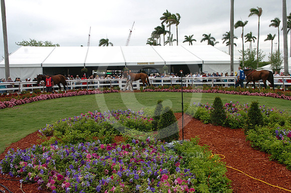 gulfstream_paddock01_hr