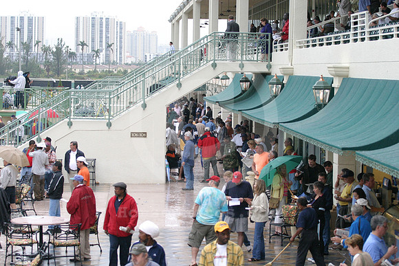 gulfstreampark_rain05_eg