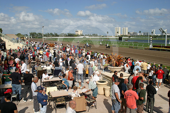 gulfstreampark_racetrack_2011_11_gg