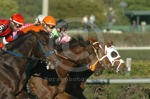 gulfstreampark05_eg