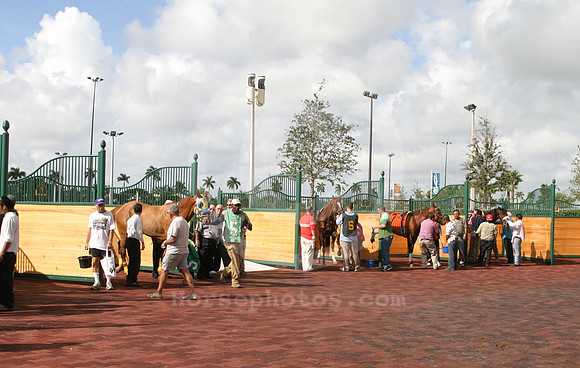 gulfstreampark62_eg