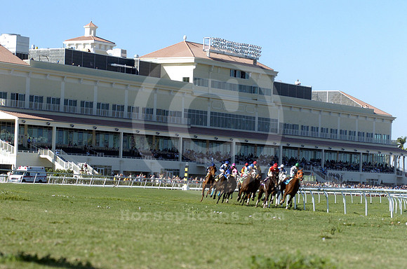 gulfstream_turf02_hr